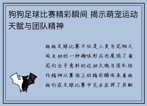 狗狗足球比赛精彩瞬间 揭示萌宠运动天赋与团队精神