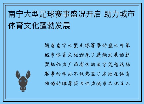 南宁大型足球赛事盛况开启 助力城市体育文化蓬勃发展