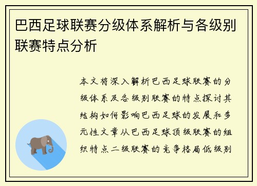 巴西足球联赛分级体系解析与各级别联赛特点分析