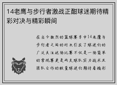 14老鹰与步行者激战正酣球迷期待精彩对决与精彩瞬间