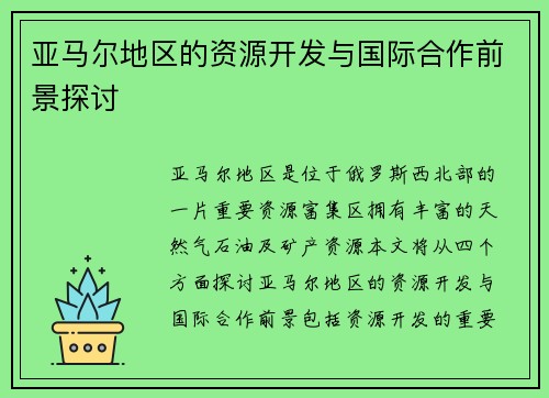 亚马尔地区的资源开发与国际合作前景探讨