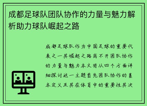 成都足球队团队协作的力量与魅力解析助力球队崛起之路
