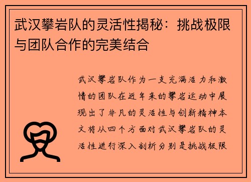 武汉攀岩队的灵活性揭秘：挑战极限与团队合作的完美结合